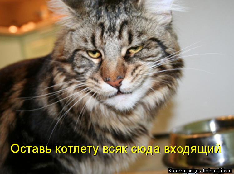 Котоматрица: Оставь котлету всяк сюда входящий