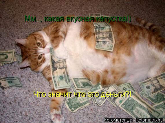 Мм.., какая вкусная капустка!) Что значит что это деньги?!... Котоматрица: Мм.., какая вкусная капустка!) Что значит что это деньги?!