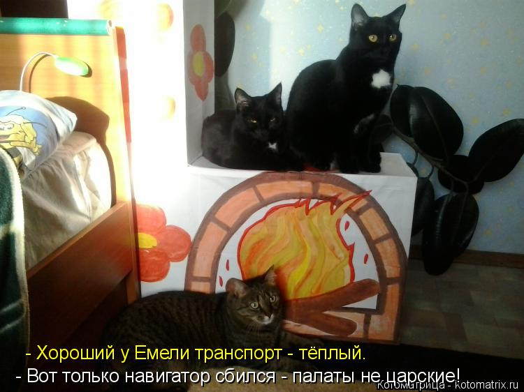 Котоматрица: - Хороший у Емели транспорт - тёплый. - Вот только навигатор сбился - палаты не царские!