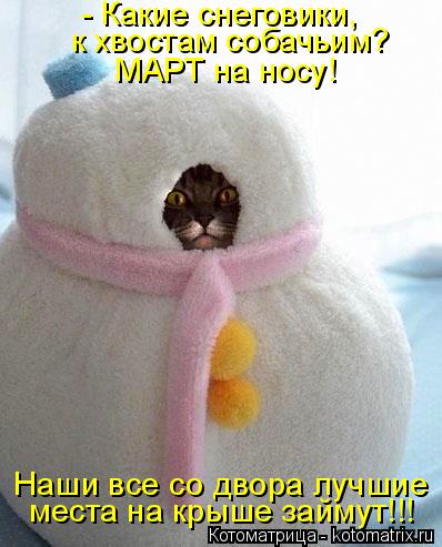 Котоматрица: - Какие снеговики,  к хвостам собачьим? МАРТ на носу!   Наши все со двора лучшие места на крыше займут!!!