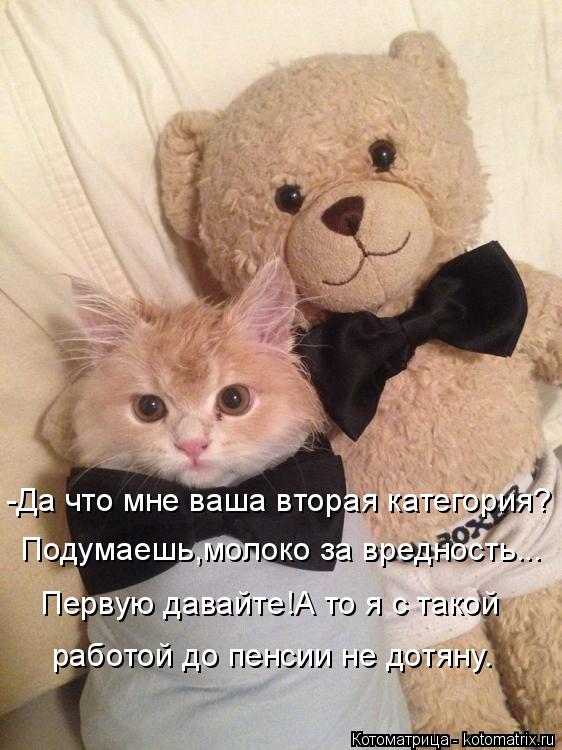 -Да что мне ваша вторая категория? Подумаешь,молоко за вредность... Первую давайте!А то я с такой раб... Котоматрица: -Да что мне ваша вторая категория? Подумаешь,молоко за вредность... Первую давайте!А то я с такой работой до пенсии не дотяну.