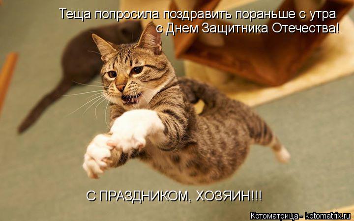 Теща попросила поздравить пораньше с утра с Днем Защитника Отечества! С ПРАЗДНИКОМ, ХОЗЯИН!!!... Котоматрица: Теща попросила поздравить пораньше с утра с Днем Защитника Отечества! С ПРАЗДНИКОМ, ХОЗЯИН!!!