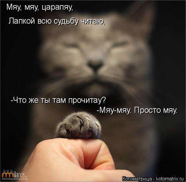 Мяу, мяу, царапяу, Лапкой всю судьбу читаю, -Что же ты там прочитау? -Мяу-мяу. Просто мяу.... Котоматрица: Мяу, мяу, царапяу, Лапкой всю судьбу читаю, -Что же ты там прочитау? -Мяу-мяу. Просто мяу.