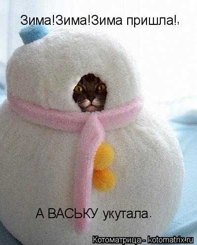 Зима!Зима!Зима пришла! А ВАСЬКУ укутала , .... Котоматрица: Зима!Зима!Зима пришла! А ВАСЬКУ укутала , .