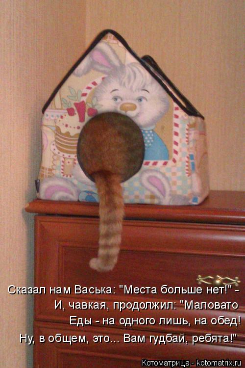 Сказал нам Васька: "Места больше нет!" - И, чавкая, продолжил: "Маловато Еды - на одного лишь, на обе... Котоматрица: Сказал нам Васька: "Места больше нет!" - И, чавкая, продолжил: "Маловато Еды - на одного лишь, на обед! Ну, в общем, это... Вам гудбай, ребята!"