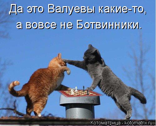 Да это Валуевы какие-то, а вовсе не Ботвинники.... Котоматрица: Да это Валуевы какие-то, а вовсе не Ботвинники.
