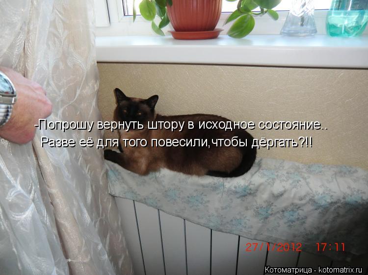 -Попрошу вернуть штору в исходное состояние.. Разве её для того повесили,чтобы дёргать?!!... Котоматрица: -Попрошу вернуть штору в исходное состояние.. Разве её для того повесили,чтобы дёргать?!!