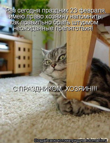 Раз сегодня праздник 23 февраля, имею право хозяину напомнить, как правильно брать штурмом неожидан... Котоматрица: Раз сегодня праздник 23 февраля, имею право хозяину напомнить, как правильно брать штурмом неожиданные препятствия! С ПРАЗДНИКОМ, ХОЗЯИН!!!
