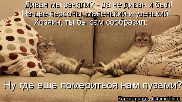 Диван мы заняли? - да не диван и был! На две персоны, маленький и узенький! Хозяин, ты бы сам сообраз... Котоматрица: Диван мы заняли? - да не диван и был! На две персоны, маленький и узенький! Хозяин, ты бы сам сообразил: Ну где еще помериться нам пузами?