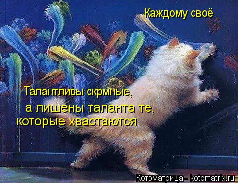 Каждому своё Талантливы скрмные, а лишены таланта те, которые хвастаются... Котоматрица: Каждому своё Талантливы скрмные, а лишены таланта те, которые хвастаются