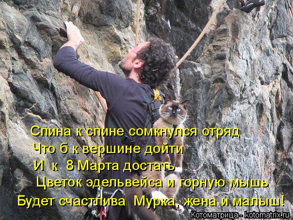 Спина к спине сомкнулся отряд Что б к вершине дойти И к 8 Марта достать Цветок эдельвейса и горну... Котоматрица: Спина к спине сомкнулся отряд Что б к вершине дойти И к 8 Марта достать Цветок эдельвейса и горную мышь Будет счастлива Мурка, жена и малы