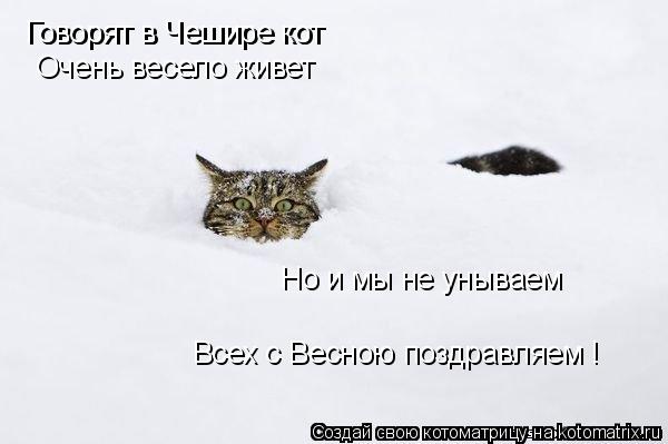 Котоматрица: Говорят в Чешире кот Говорят в Чешире кот Очень весело живет Но и мы не унываем Всех с Весною поздравляем !