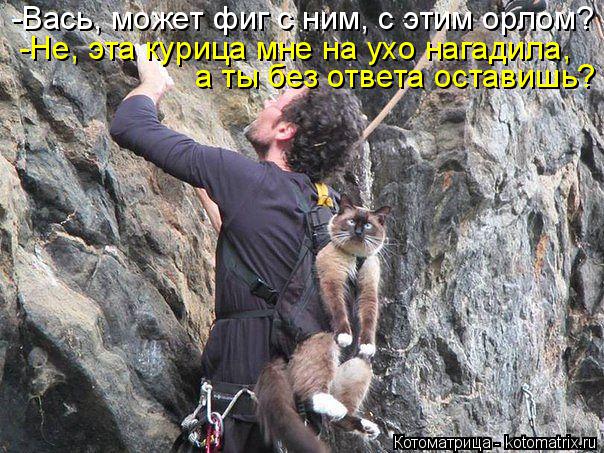 -Вась, может фиг с ним, с этим орлом? -Не, эта курица мне на ухо нагадила, а ты без ответа оставишь?... Котоматрица: -Вась, может фиг с ним, с этим орлом? -Не, эта курица мне на ухо нагадила, а ты без ответа оставишь?