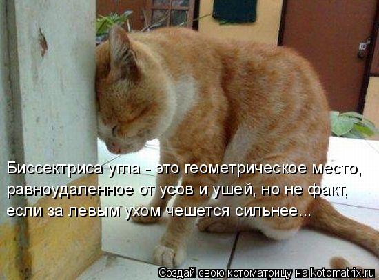 Биссектриса угла - это геометрическое место, равноудаленное от усов и ушей, но не факт, если за левым... Котоматрица: Биссектриса угла - это геометрическое место, равноудаленное от усов и ушей, но не факт, если за левым ухом чешется сильнее...