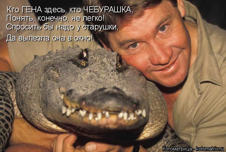 Кто ГЕНА здесь, кто ЧЕБУРАШКА, Да вылезла она в окно! Понять, конечно, не легко! Спросить бы надо у с... Котоматрица: Кто ГЕНА здесь, кто ЧЕБУРАШКА, Да вылезла она в окно! Понять, конечно, не легко! Спросить бы надо у старушки,