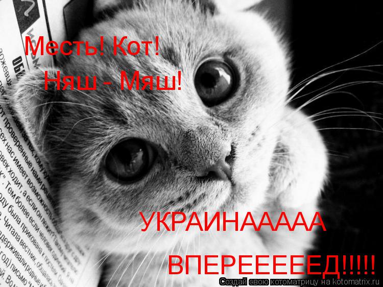 Месть! Кот! Месть! Кот! Няш - Мяш! УКРАИНААААА ВПЕРЕЕЕЕЕД!!!!!... Котоматрица: Месть! Кот! Месть! Кот! Няш - Мяш! УКРАИНААААА ВПЕРЕЕЕЕЕД!!!!!