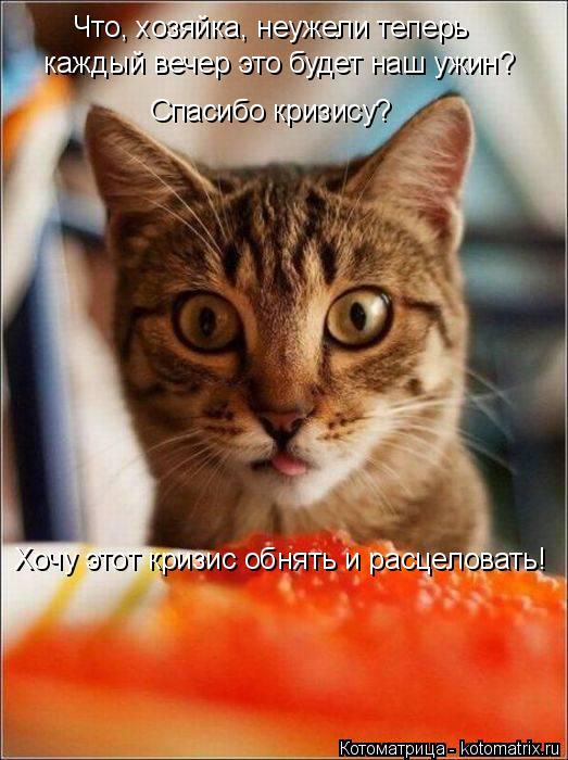 Что, хозяйка, неужели теперь каждый вечер это будет наш ужин? Спасибо кризису? Хочу этот кризис обня... Котоматрица: Что, хозяйка, неужели теперь каждый вечер это будет наш ужин? Спасибо кризису? Хочу этот кризис обнять и расцеловать!