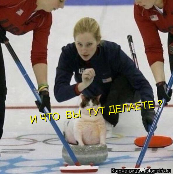 И ЧТО ВЫ ТУТ ДЕЛАЕТЕ ?... Котоматрица: И ЧТО ВЫ ТУТ ДЕЛАЕТЕ ?