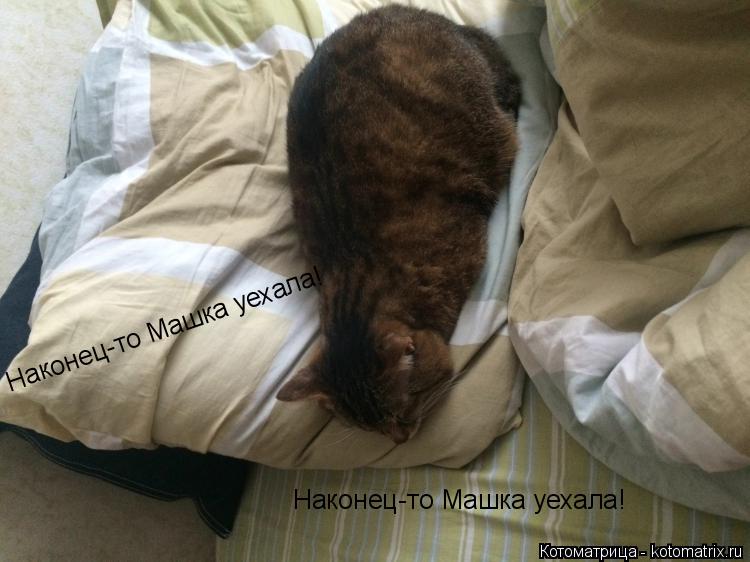 Наконец-то Машка уехала! Наконец-то Машка уехала!... Котоматрица: Наконец-то Машка уехала! Наконец-то Машка уехала!