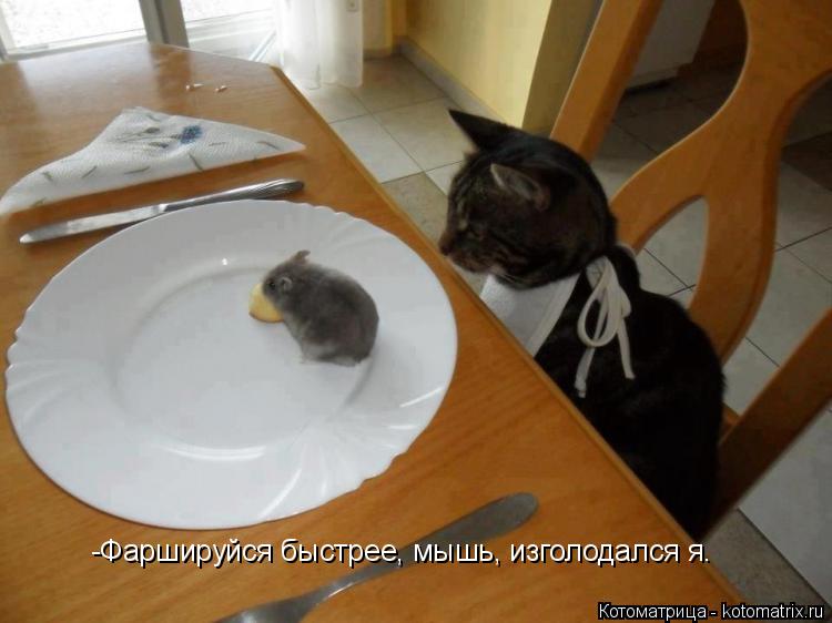 -Фаршируйся быстрее, мышь, изголодался я.... Котоматрица: -Фаршируйся быстрее, мышь, изголодался я.
