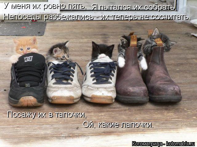 У меня их ровно пять, Посажу их в тапочки, Ой, какие лапочки. Я пытался их собрать, Непоседы разбежа... Котоматрица: У меня их ровно пять, Посажу их в тапочки, Ой, какие лапочки. Я пытался их собрать, Непоседы разбежались - их теперь не сосчитать.