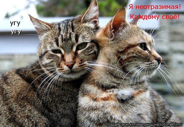 Я неотразимая! угу Каждому своё! угу... Котоматрица: Я неотразимая! угу Каждому своё! угу