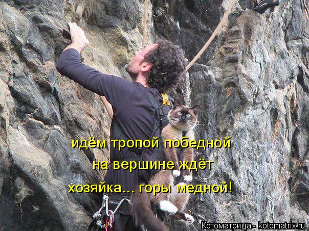 идём тропой победной на вершине ждёт хозяйка... горы медной!... Котоматрица: идём тропой победной на вершине ждёт хозяйка... горы медной!