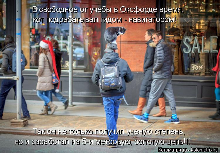 В свободное от учебы в Оксфорде время, кот подрабатывал гидом - навигатором! Так он не только получил... Котоматрица: В свободное от учебы в Оксфорде время, кот подрабатывал гидом - навигатором! Так он не только получил ученую степень, но и заработал на 5-и ме