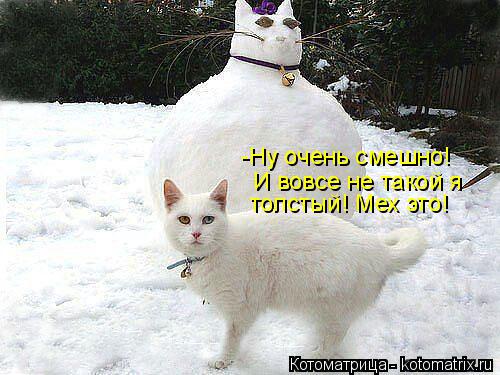 -Ну очень смешно! И вовсе не такой я толстый! Мех это!... Котоматрица: -Ну очень смешно! И вовсе не такой я толстый! Мех это!