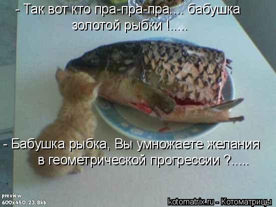- Так вот кто пра-пра-пра.... бабушка золотой рыбки !..... - Бабушка рыбка, Вы умножаете желания в ге... Котоматрица: - Так вот кто пра-пра-пра.... бабушка золотой рыбки !..... - Бабушка рыбка, Вы умножаете желания в геометрической прогрессии ?.....