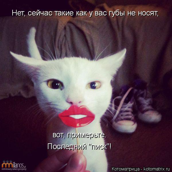 Нет, сейчас такие как у вас губы не носят, вот, примерьте. Последний "писк"!... Котоматрица: Нет, сейчас такие как у вас губы не носят, вот, примерьте. Последний "писк"!
