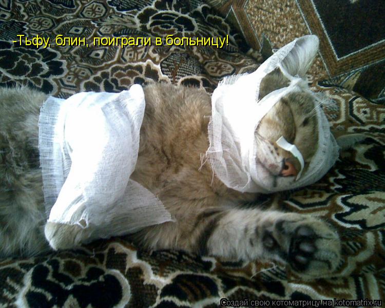 -Тьфу, блин, поиграли в больницу!... Котоматрица: -Тьфу, блин, поиграли в больницу!