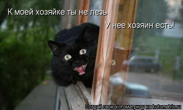 К моей хозяйке ты не лезь У нее хозяин есть!... Котоматрица: К моей хозяйке ты не лезь У нее хозяин есть!