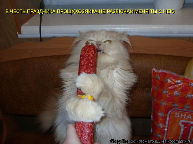 В ЧЕСТЬ ПРАЗДНИКА ПРОЩУ,ХОЗЯЙКА,НЕ РАЗЛЮЧАЙ МЕНЯ ТЫ С НЕЮ.... Котоматрица: В ЧЕСТЬ ПРАЗДНИКА ПРОЩУ,ХОЗЯЙКА,НЕ РАЗЛЮЧАЙ МЕНЯ ТЫ С НЕЮ.