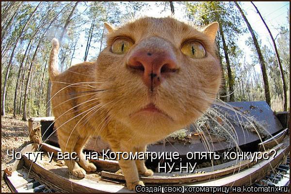 Чо тут у вас, на Котоматрице, опять конкурс? НУ-НУ...... Котоматрица: Чо тут у вас, на Котоматрице, опять конкурс? НУ-НУ...