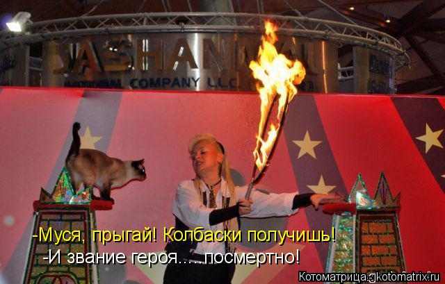 -Муся, прыгай! Колбаски получишь! -И звание героя.....посмертно!... Котоматрица: -Муся, прыгай! Колбаски получишь! -И звание героя.....посмертно!