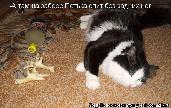 -А там на заборе Петька спит без задних ног... Котоматрица: -А там на заборе Петька спит без задних ног