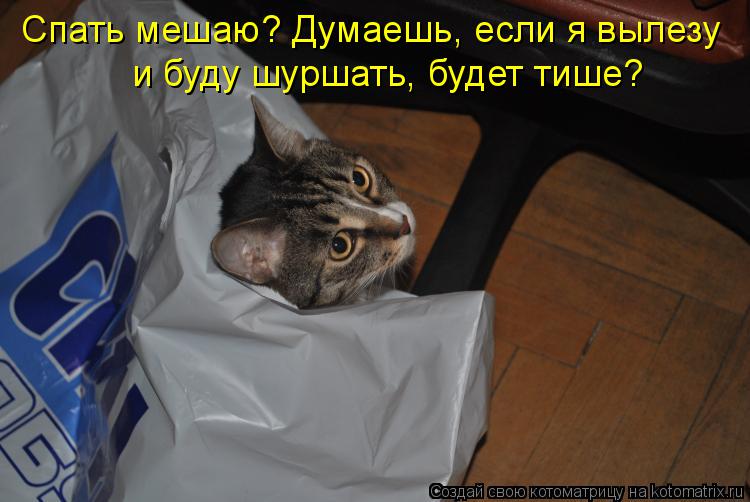 Спать мешаю? Думаешь, если я вылезу и буду шуршать, будет тише?... Котоматрица: Спать мешаю? Думаешь, если я вылезу и буду шуршать, будет тише?
