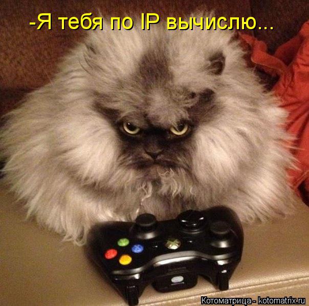 -Я тебя по IP вычислю...... Котоматрица: -Я тебя по IP вычислю...