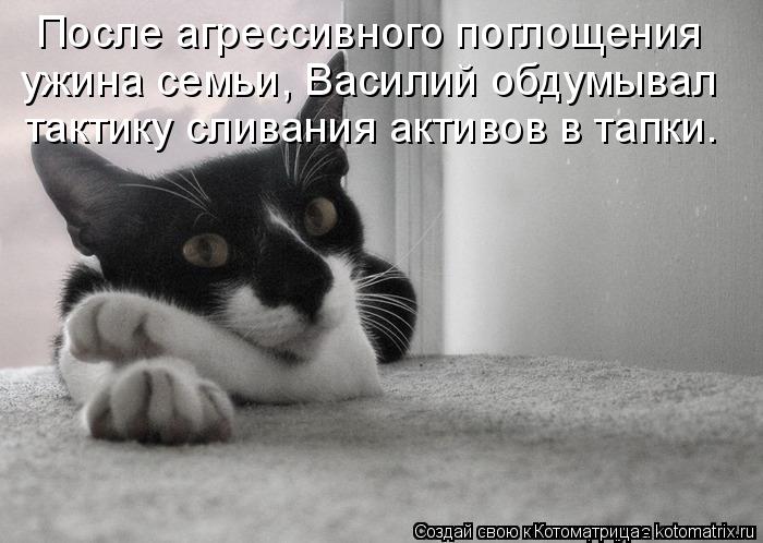 ужина семьи, Василий обдумывал После агрессивного поглощения тактику сливания активов в тапки.... Котоматрица: ужина семьи, Василий обдумывал После агрессивного поглощения тактику сливания активов в тапки.