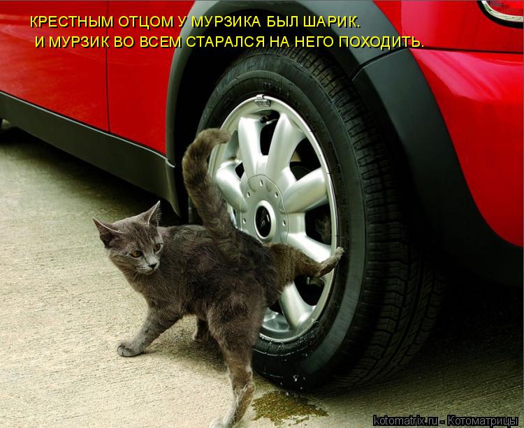 КРЕСТНЫМ ОТЦОМ У МУРЗИКА БЫЛ ШАРИК. И МУРЗИК ВО ВСЕМ СТАРАЛСЯ НА НЕГО ПОХОДИТЬ.... Котоматрица: КРЕСТНЫМ ОТЦОМ У МУРЗИКА БЫЛ ШАРИК. И МУРЗИК ВО ВСЕМ СТАРАЛСЯ НА НЕГО ПОХОДИТЬ.