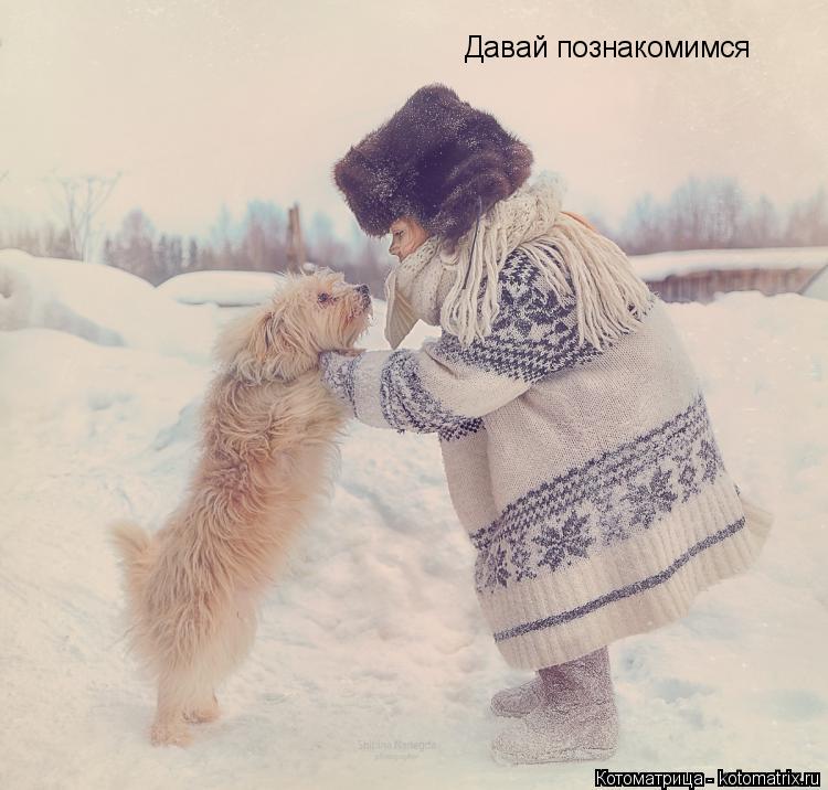 Давай познакомимся... Котоматрица: Давай познакомимся