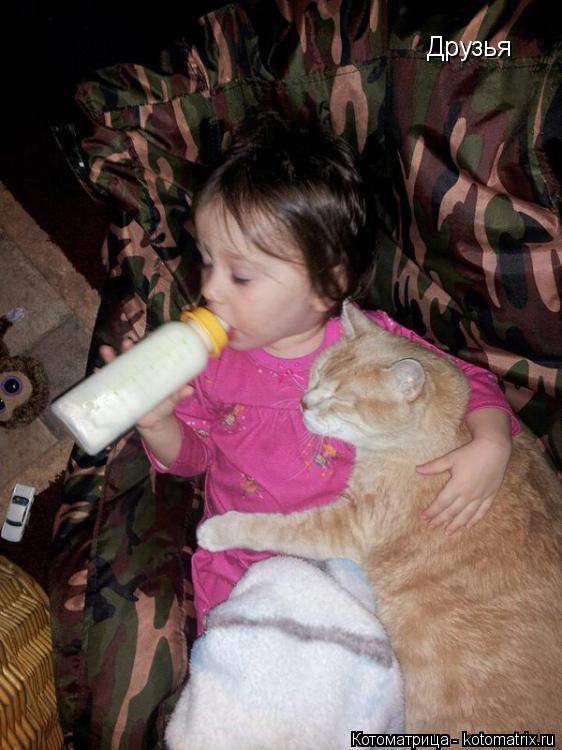 Друзья... Котоматрица: Друзья