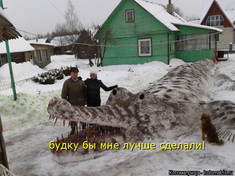 будку бы мне лучше сделали!... Котоматрица: будку бы мне лучше сделали!