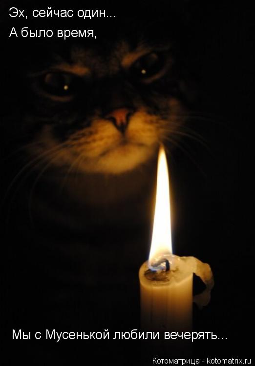 Эх, сейчас один... А было время, Мы с Мусенькой любили вечерять...... Котоматрица: Эх, сейчас один... А было время, Мы с Мусенькой любили вечерять...