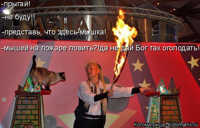 -мышей на пожаре ловить?!да не дай Бог так оголодать! -представь, что здесь-мышка! -не буду!! -прыгай... Котоматрица: -мышей на пожаре ловить?!да не дай Бог так оголодать! -представь, что здесь-мышка! -не буду!! -прыгай!