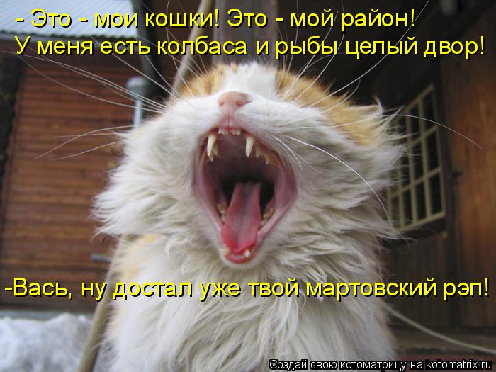 - Это - мои кошки! Это - мой район! У меня есть колбаса и рыбы целый двор! -Вась, ну достал уже твой ... Котоматрица: - Это - мои кошки! Это - мой район! У меня есть колбаса и рыбы целый двор! -Вась, ну достал уже твой мартовский рэп!