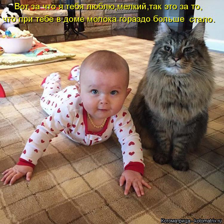 Вот за что я тебя люблю,мелкий,так это за то, что при тебе в доме молока гораздо больше стало.... Котоматрица: Вот за что я тебя люблю,мелкий,так это за то, что при тебе в доме молока гораздо больше стало.