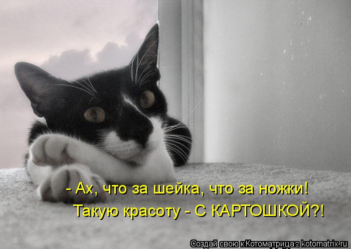- Ах, что за шейка, что за ножки! Такую красоту - С КАРТОШКОЙ?!... Котоматрица: - Ах, что за шейка, что за ножки! Такую красоту - С КАРТОШКОЙ?!