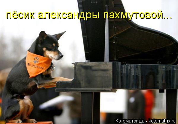 пёсик александры пахмутовой...... Котоматрица: пёсик александры пахмутовой...